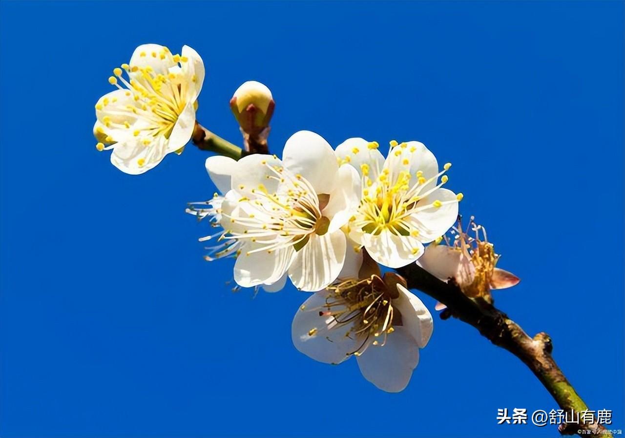 算命财运(人与人之间的财运,为什么会有如此之大的差距?)插图2 算命财运(人与人之间的财运,为什么会有如此之大的差距?)