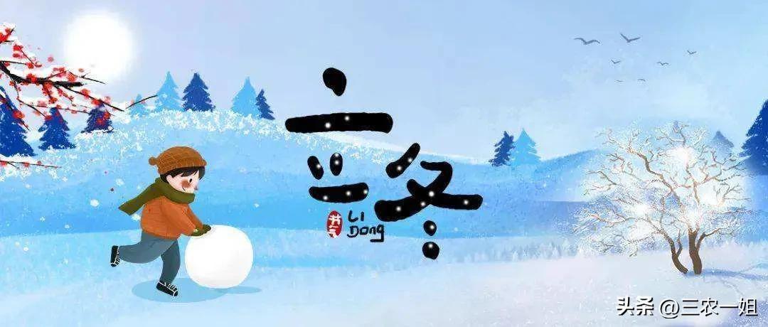 立冬晴一冬凌(立冬晴天有啥预兆?看农村谚语是咋说的)插图 立冬晴一冬凌(立冬晴天有啥预兆?看农村谚语是咋说的)