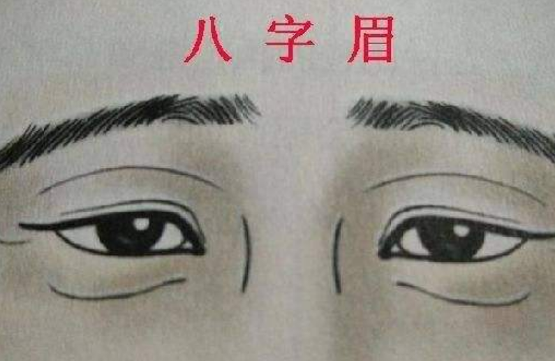 八字眉是什么样子的(俗语“男怕八字眉,女怕弯鼻眉,)插图1 八字眉是什么样子的(俗语“男怕八字眉,女怕弯鼻眉,)