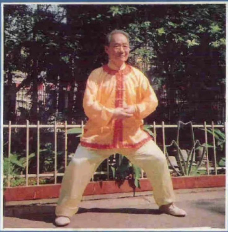 太乙五行拳(武当山紫霄宫原传武学)插图1 太乙五行拳(武当山紫霄宫原传武学)
