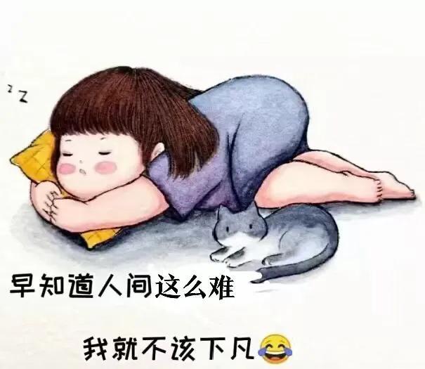 今年犯太岁的生肖2021(2021年,属羊的人犯太岁)插图1 今年犯太岁的生肖2021(2021年,属羊的人犯太岁)