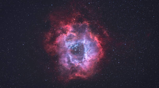 白羊座的绝配星座(白羊座的最佳伴侣星座)插图 白羊座的绝配星座(白羊座的最佳伴侣星座)插图