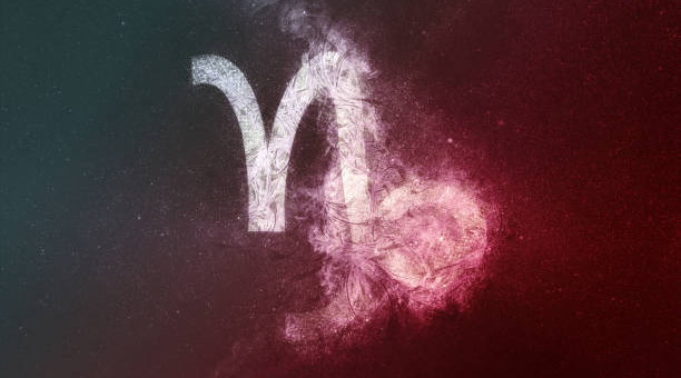 处女男最合适的星座女(最适合处女座男的星座)
