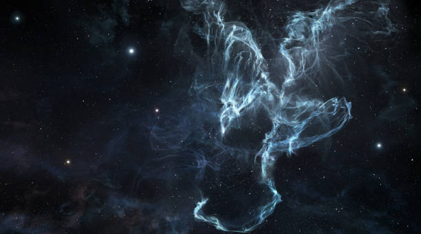 射手白羊狮子都是火象星座吗(白羊座属于火象星座吗)插图 射手白羊狮子都是火象星座吗(白羊座属于火象星座吗)插图