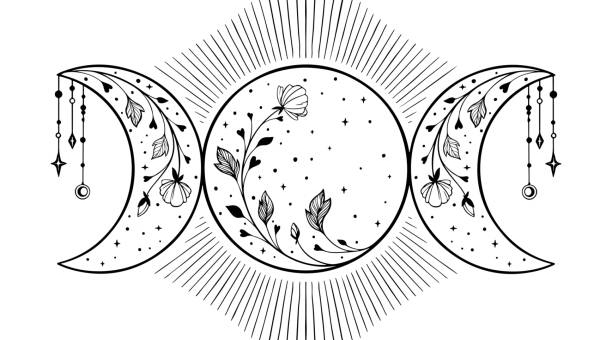 处女座是什么属性星象(处女座是什么属性的词语)