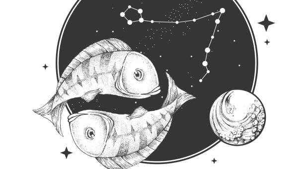 陶白白星座天秤女(陶白白的天秤座)