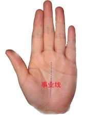 手掌纹(从手相看五大线纹)