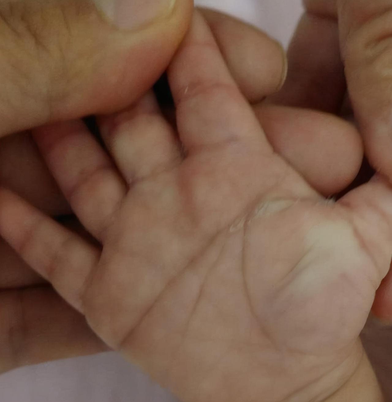 手掌纹算命(为什么有些人的手掌会有掌纹?)插图1 手掌纹算命(为什么有些人的手掌会有掌纹?)